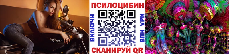 Псилоцибиновые грибы мухоморы  Купить  Дигора 